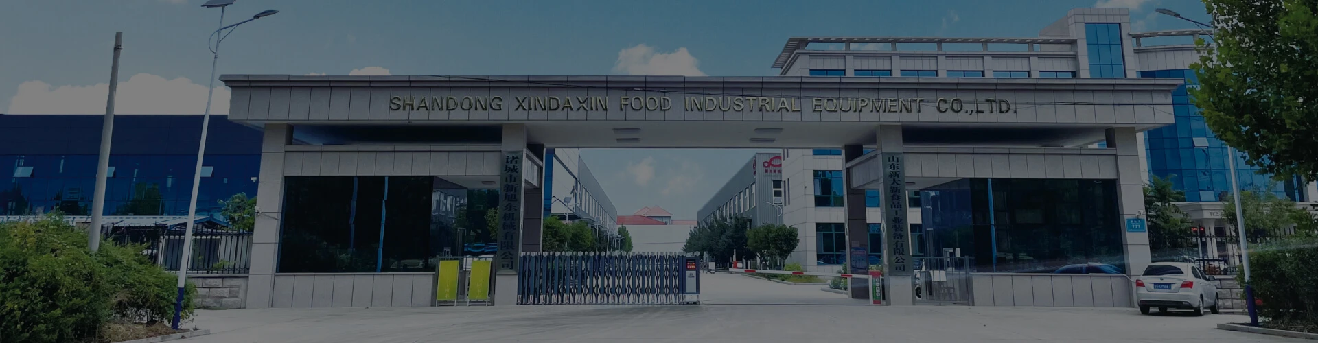 Fruit and Vegetable Vacuum Freeze Dryer