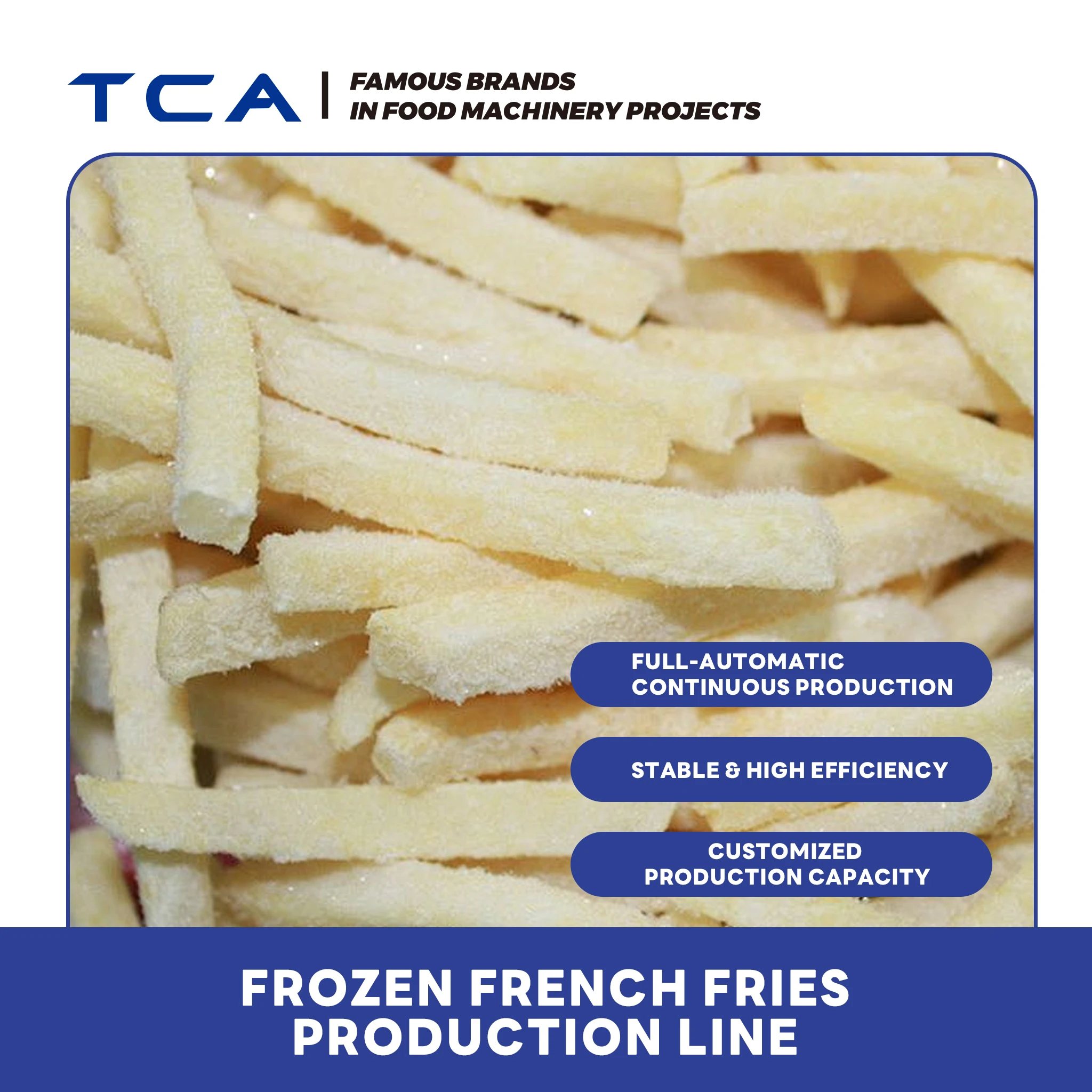 French Fries Production Line